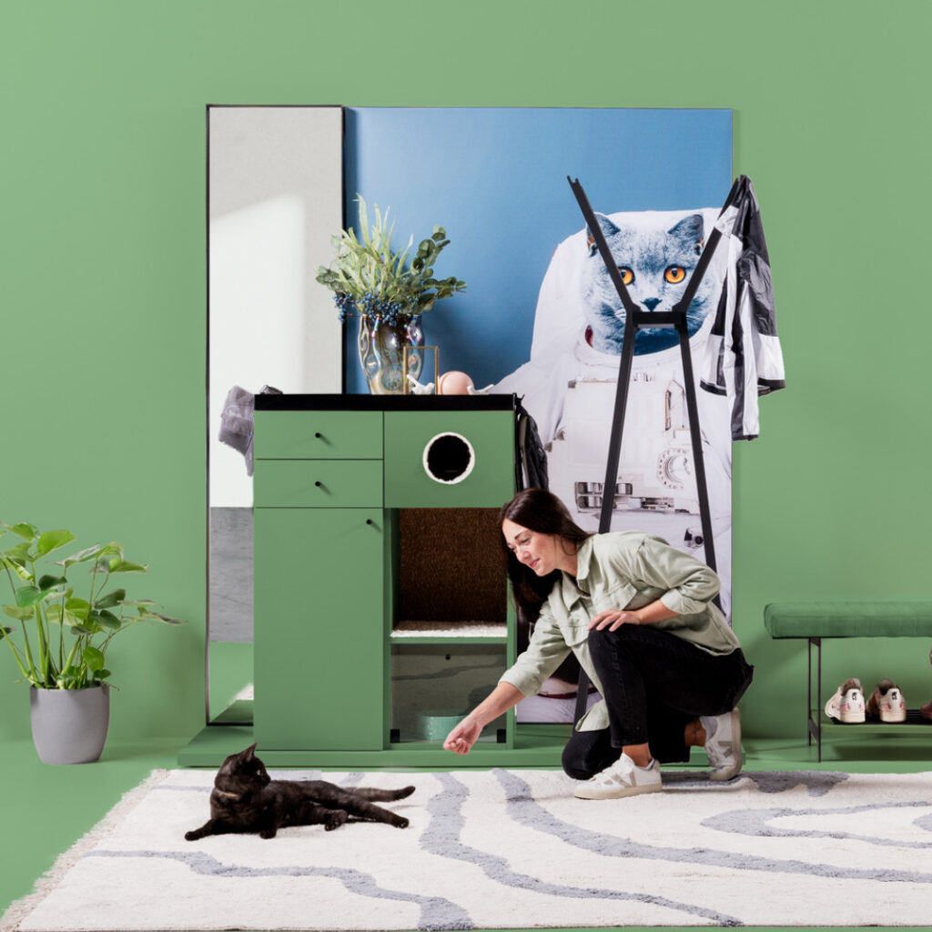 Vorzimmer Katzenhaus vorzimmer-haustierbesitzer-katze-roomig