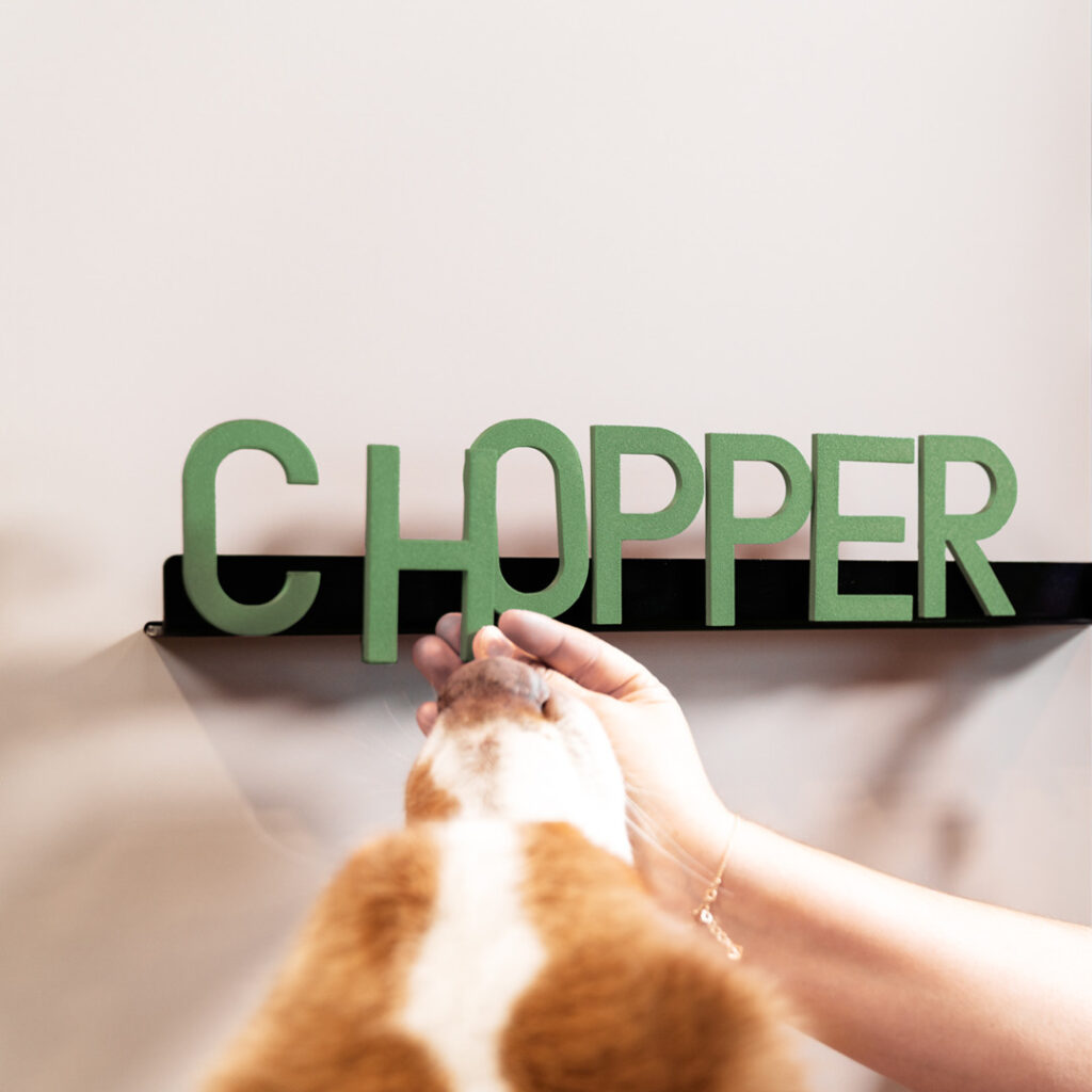 Griff des Garderobenschranks mit magnetischen Buchstaben vorzimmer-haustierbesitzer-hund-roomig-garderobenschrank